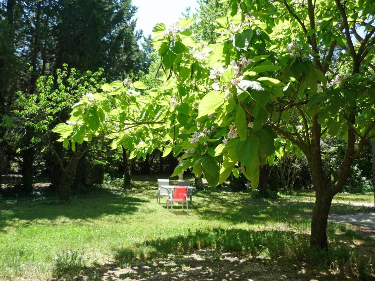 Mas De La Pomme De Pin Apartment Noves Exterior photo